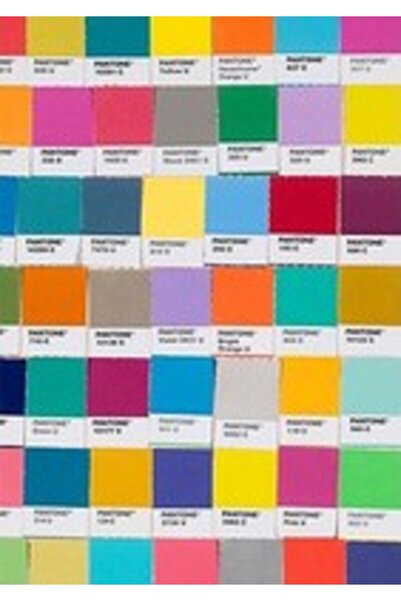 Chronicle Books Jurnalul Pantone Chips