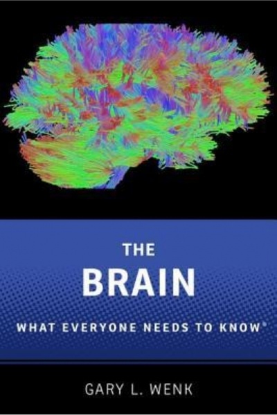 Oxford Univ Pr The Brain: What Everyone Needs to Know(r)
