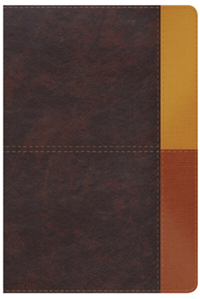 B&H Espanol Rvr 1960 Biblia de Estudio Arcoiris, Cocoa/ Terracota S