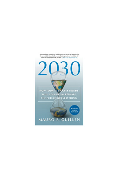 Griffin 2030: How Today's Biggest Trends Will Collide and Reshape the Future ...