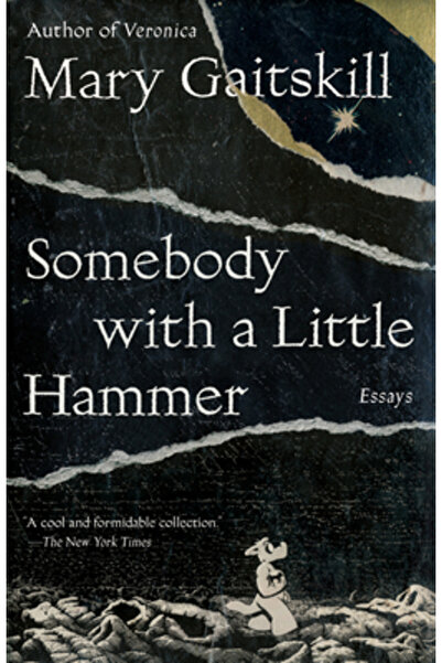 Vintage Books Somebody with a Little Hammer: Essays