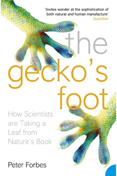 Perennial The Gecko S Foot