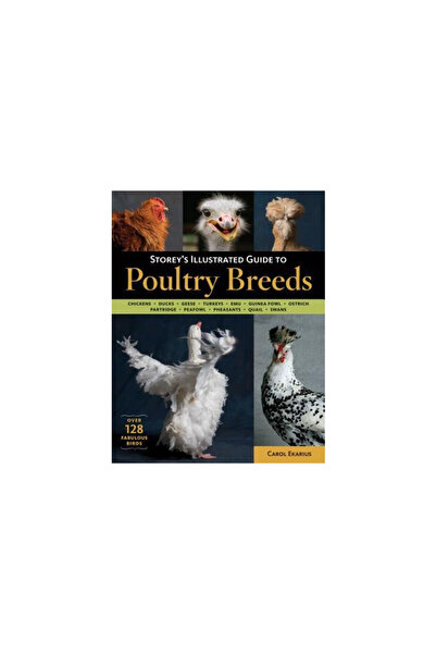 Storey Publishing Storey's Illustrated Guide to Poultry Breeds