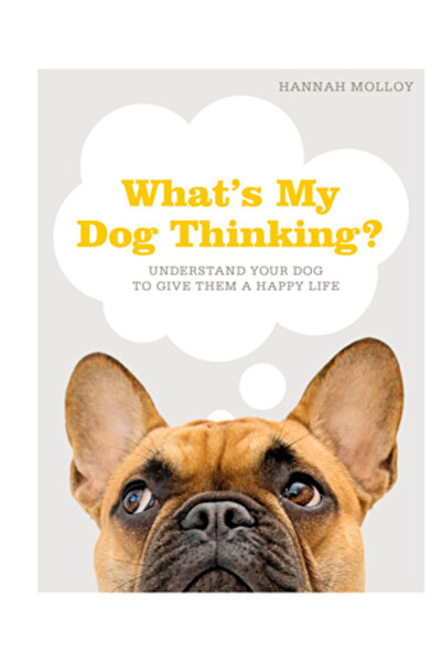 Dk Pub What's My Dog Thinking?: Understand Your Dog to Give Them a Happy Life