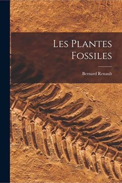 Legare Street Pr Les Plantes Fossiles