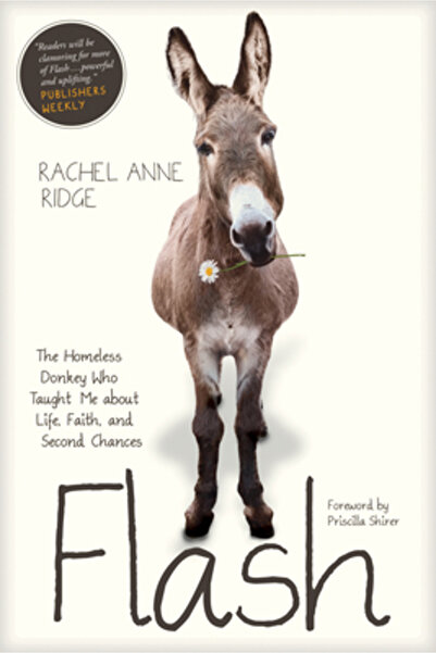 Kessinger Pub Llc Flash: The Homeless Donkey Who Taught Me about Life, Faith, and Second Chances
