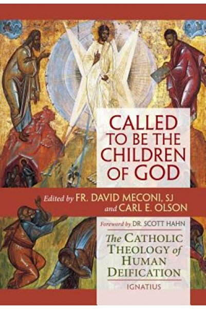 John Wiley & Sons Inc Called to Be the Children of God: The Catholic Theology...