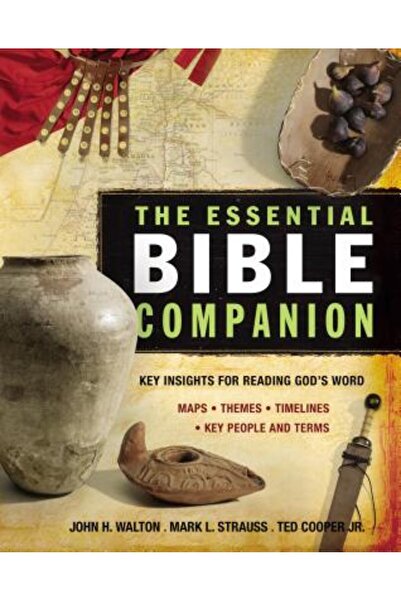 Zondervan Publishing Company The Essential Bible Companion: Key Insights for ...