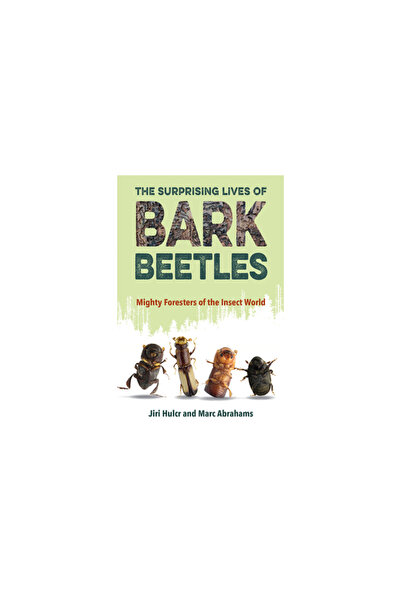 Univ Of Florida Pr Viețile surprinzătoare ale gândacilor de scoarță: Puternic...