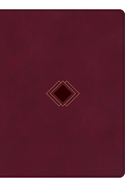 Holman Bibles CSB Day-By-Day Chronological Bible, Burgundy Leathertouch