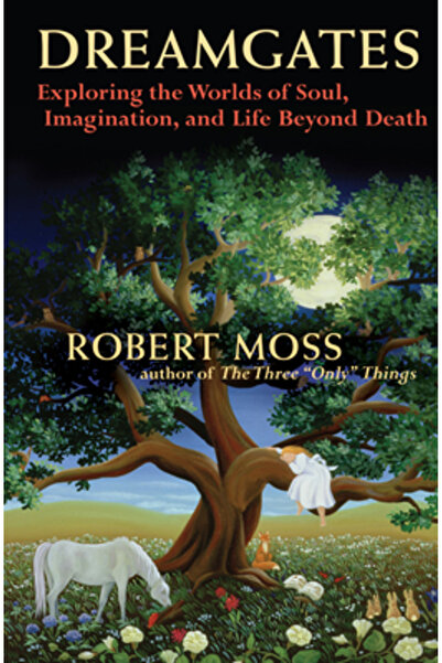 New World Library Dreamgates: Exploring the Worlds of Soul, Imagination, and ...