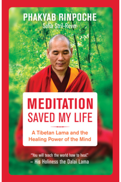 New World Lib Meditația mi-a salvat viața: Un lama tibetan și puterea vindecă...