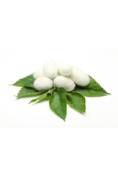 ICON SILK 100% Pure Silk Children's Pillowcase 1 Piece 50Cm*70Cm