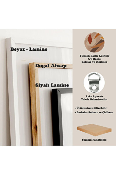 ARTCASTLE 3'lü Ahşap Çerçeveli Tablo Seti Modern Boho