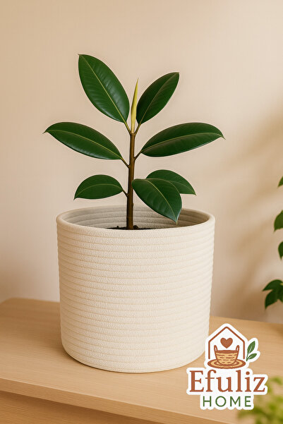 Efuliz Home Jute-Wicker Multi-Purpose-Decorative-Organizer Flower Pot Basket, Garden Organizer Basket. (Width:20-Length:15 cm)