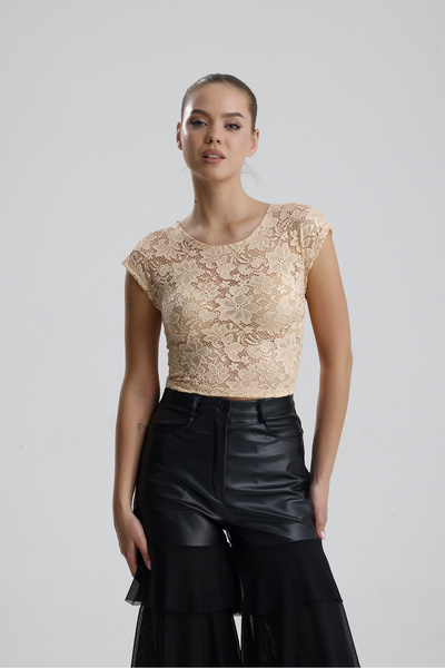 Sense Lace Transparent Short Sleeve Blouse | Bust35379 Salmon