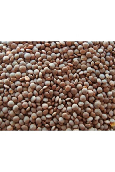 Natural دال ماسور كامل 1 كجم (بني) × 10