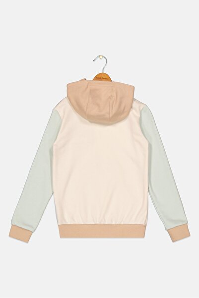 adidas Kids Girl Hooded Graphic Print Long Sleeves Outdoor Sweatshirt, Tan Combo