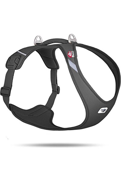 Curli حزام Belka Air-Mesh للكلاب - أسود/XXXL