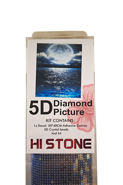 histone مجموعة أدوات تطريز الأحجار الكريمة الماسية 5D مقاس 40 × 50 سم بنمط ضو...