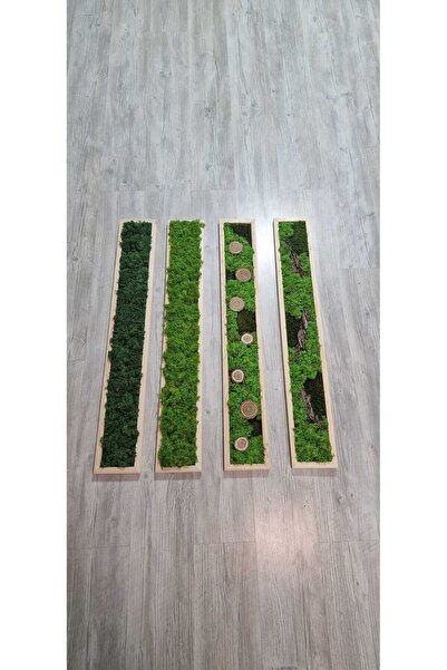 Narium SET Pictură cu mușchi stabilizat 100×15 cm