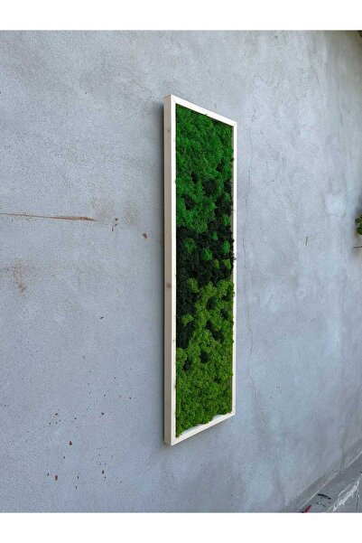 Narium Stabilized Moss Frame 100×30 cm