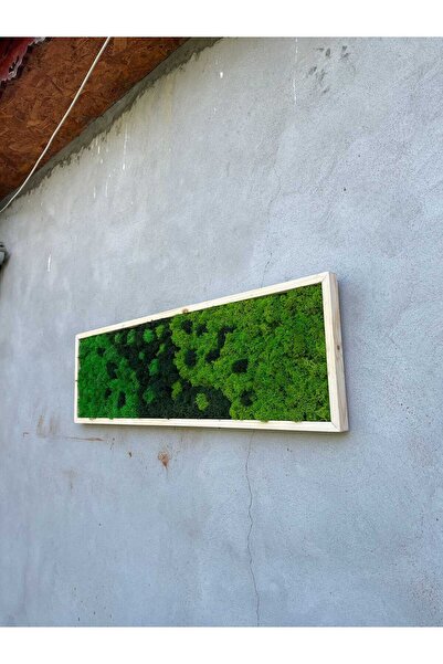 Narium Stabilized Moss Frame 100×30 cm