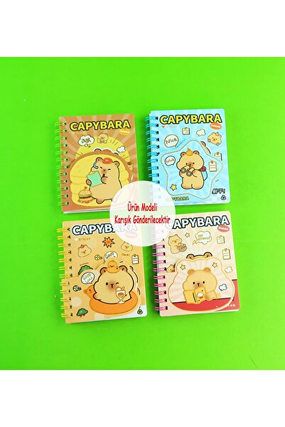 Gift Moda Capybara Spiral Lined Notebook