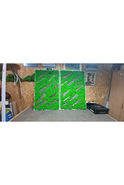 Narium Rame din mușchi stabilizat 100×80 cm SET