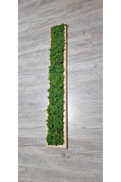 Narium Tableau with Stabilized Moss 100x15 cm