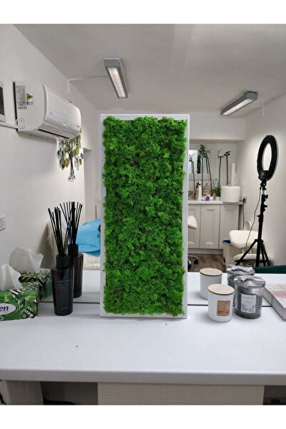 Narium Tablou cu licheni 70×30 cm