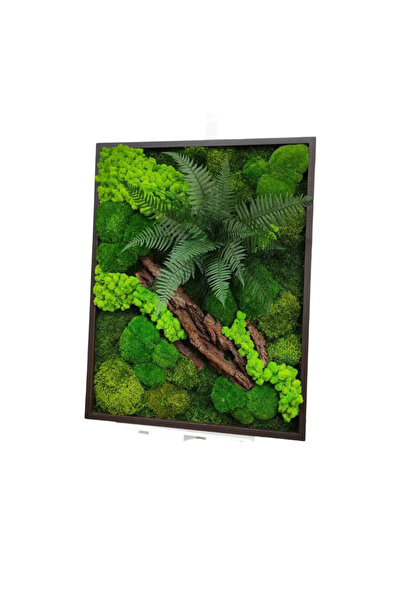 Narium Tablou cu mușchi stabilizat 50x40 cm
