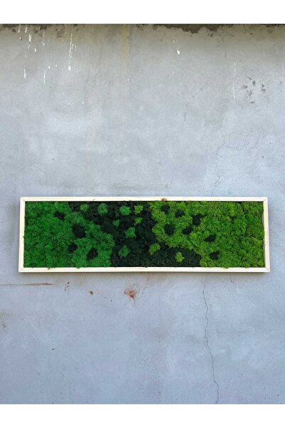 Narium Stabilized Moss Frame 100×30 cm