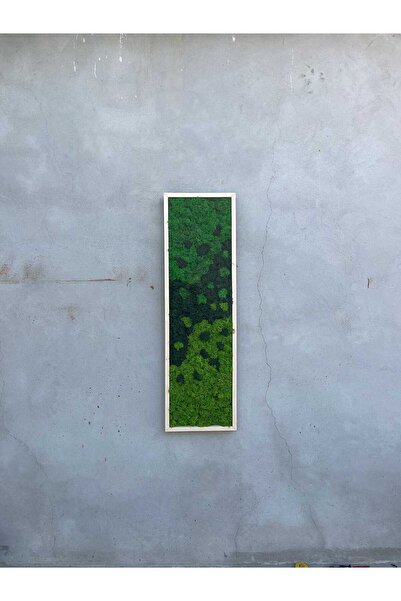 Narium Stabilized Moss Frame 100×30 cm