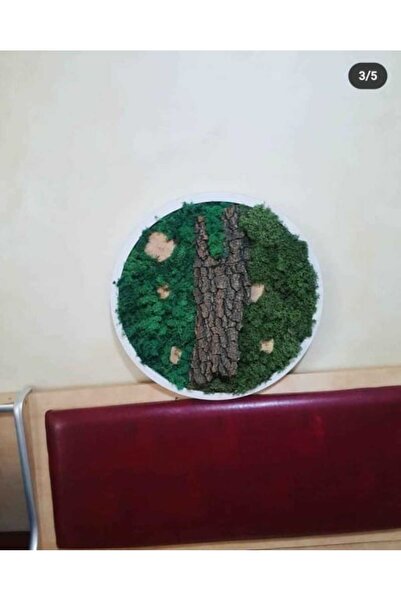 Narium Cerc de licheni stabilizat Ø 60 cm