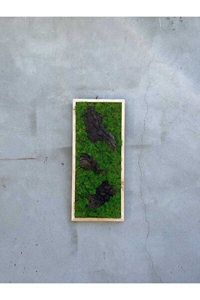 Narium Tablou cu mușchi stabilizat 70×30 cm