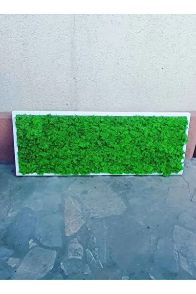 Narium Tablou cu licheni 100x30 cm