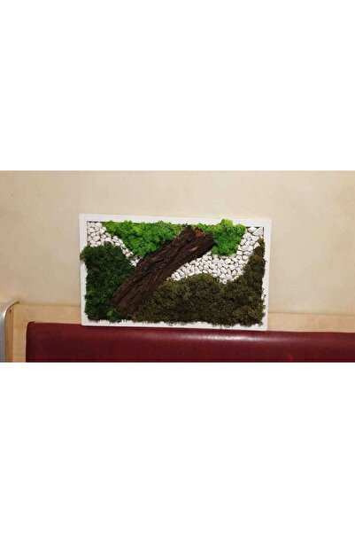 Narium Tablou cu licheni 40×20 cm