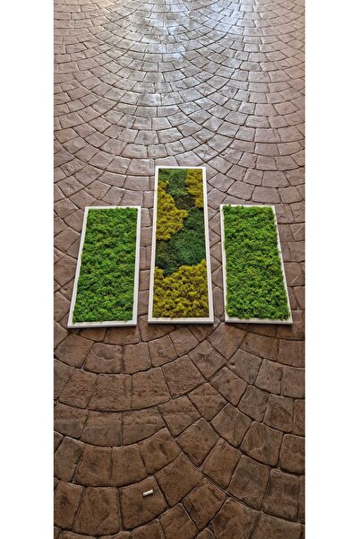 Narium Set tablouri cu mușchi stabilizat (1B 100x30 cm; 2B 70x30 cm)