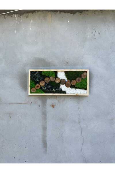 Narium Ramă din mușchi stabilizat 70x30 cm