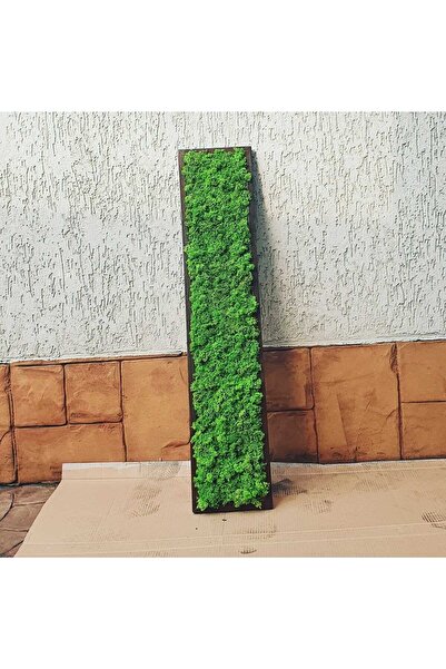 Narium Tablou din licheni stabilizati 100×20 cm