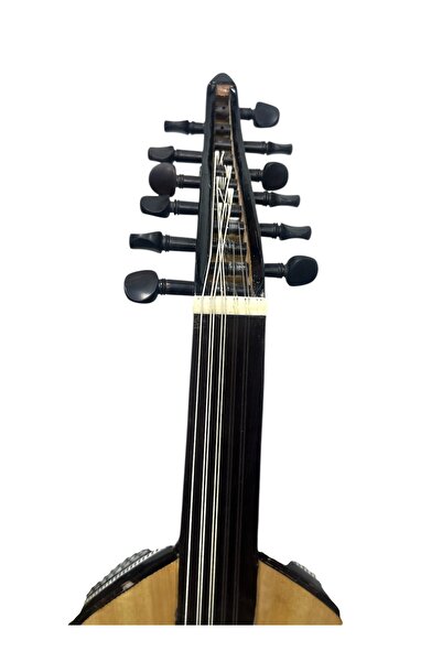 666 Barcelona Shell Oud