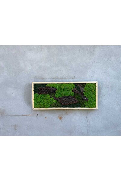 Narium Pictură cu mușchi stabilizat 70×30 cm