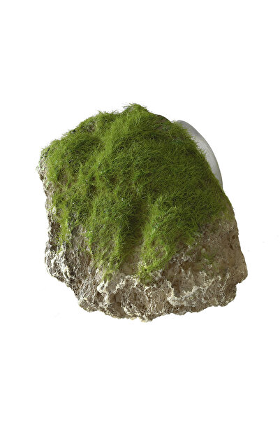 Laroy Decor Piatra Cu Muschi Si Ventuza XS - 9x6x6,5 cm 234/430149