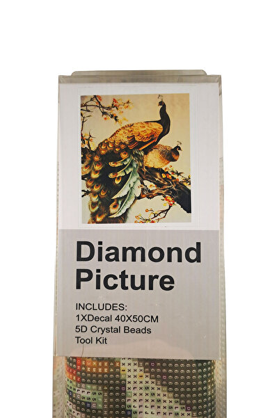 histone 5D Elmas Taş İşleme Kiti 40x50 cm Daldaki Tavus Kuşları Desen