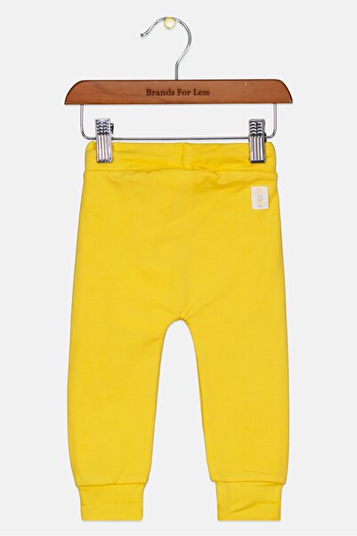 Feetje Toddlers Boy Plain Pull On Pants, Yellow