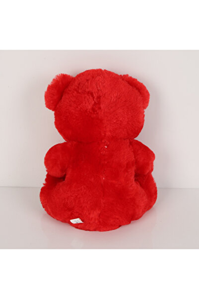 Genaric Valentine Teddy Bear
