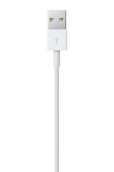 Apple USB-A to Lightning Data Cable (1 m)