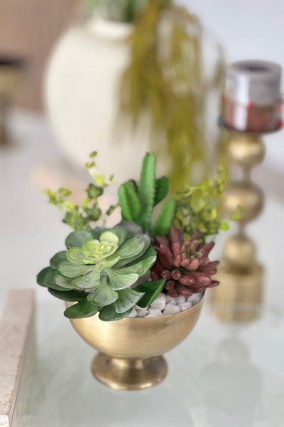 Shura Homeware Aranjament de suculente artificiale albastru cobalt ıda din me...