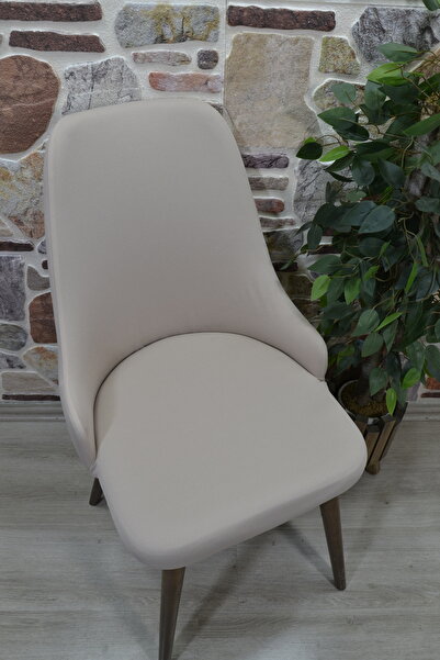 kılıfteks Kollu Sandalye Kılıfı Yeni M. Lakos